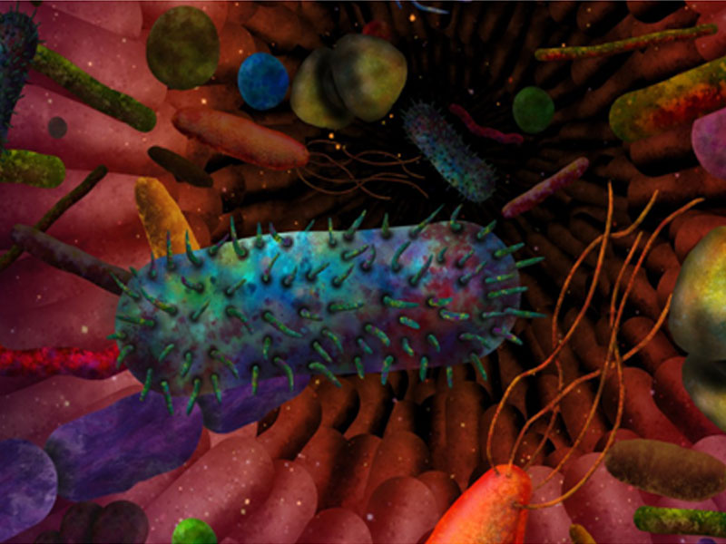 What is gut microbiome
