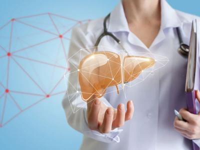 Let’s learn about our liver genes!