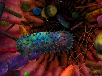 What is gut microbiome